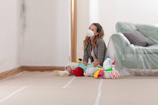 Trusted Attic Mold Removal service in Westport, NC - WQB Mold Removal