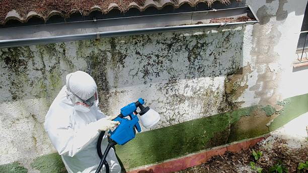 Top rated local Attic Mold Removal specialists in Westport, NC